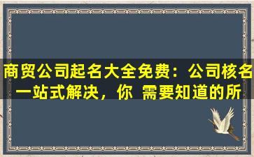 商贸公司起名大全免费：公司核名一站式解决，你  需要知道的所有要点！